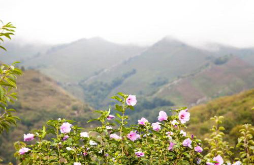 La casa'l cantirín - Foto 18