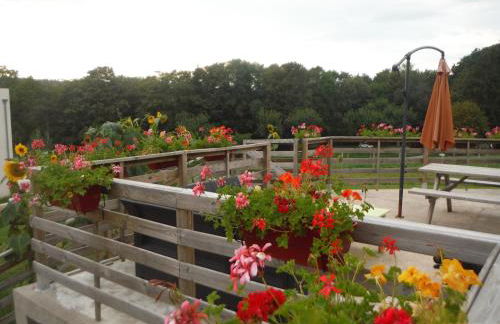 Holiday Home Near Lake and Leisure in Clos du Bannet - Foto 47