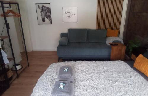 Forest Hill Travel &Work Nettes Apartment mit privatem Eingang Birkenau Mannheim Weinheim Heidelberg - Foto 35