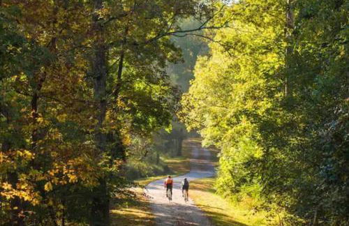 North Raleigh Private Retreat - Foto 21