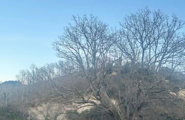 Agriturismo Val di Tufo - Foto 2