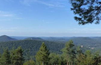 Ferienwohnung "Monte Noble" Südpfalz - Foto 18