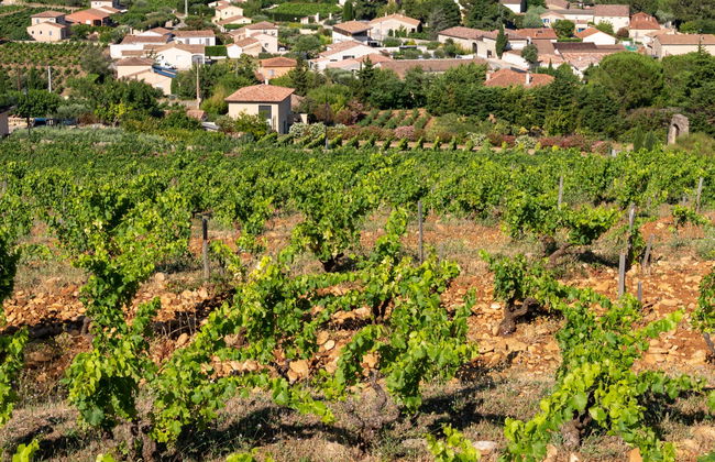 Excursão a Châteauneuf-du-Pape - Foto 1
