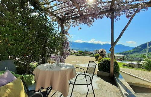 Fröhlichhof Wohnung Pergola - Foto 21