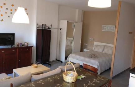 Angosta del Carmen - Photo 21