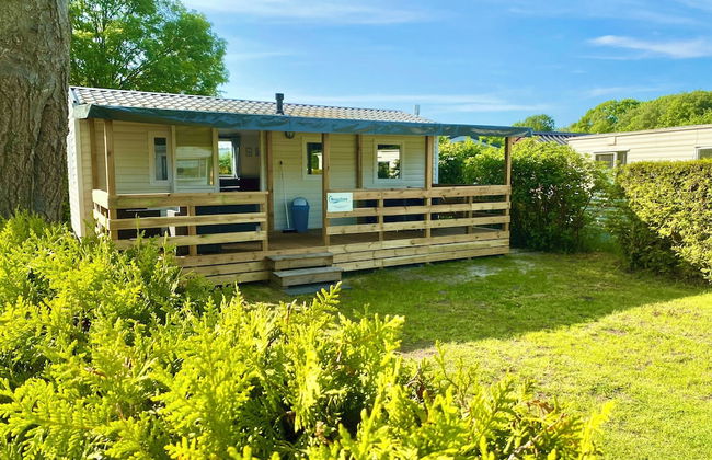 Holidaychalets Zuidlaren Tynaarlo - Photo 1