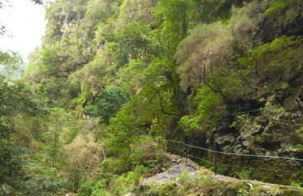 Apartamento Villa - Foto 35