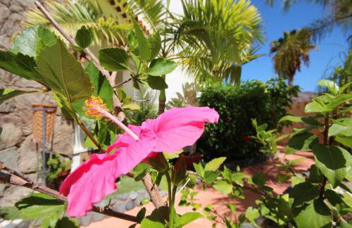 Luxury Villa Lucia - Foto 38