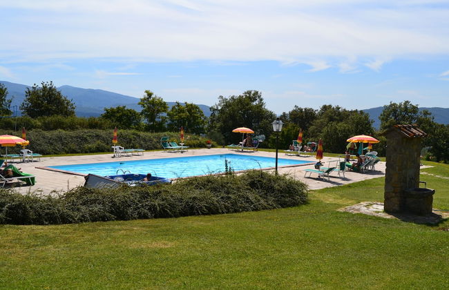 Fattoria di Belvedere - Photo 34