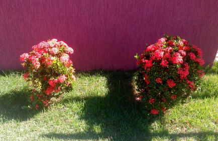 Linda Casa de Campo - Próximo à SP - Wi-Fi grátis - Photo 47