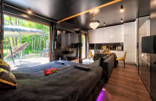 RoyalRelax Apartament w Lesie z Jacuzzi, Kinem domowym 88' - Białystok - Foto 13