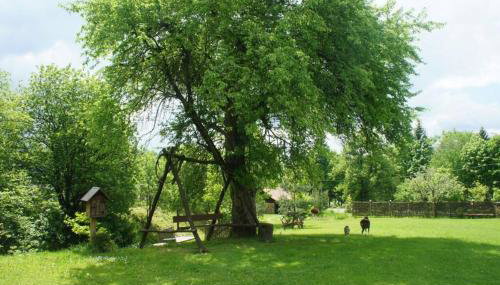 Agroturystyka Ropienka - Foto 3