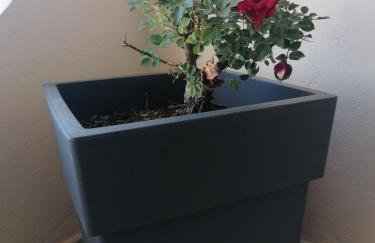 Makis Apartments - Foto 46