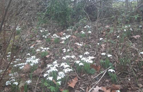 Crossing Cottage Sleeps 6 Parking, Family & Contractors Newark - Photo 19