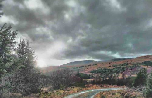 Corlae Cottage, mountain and forest views - Foto 34