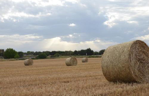 Masseria Vignenove - Foto 46