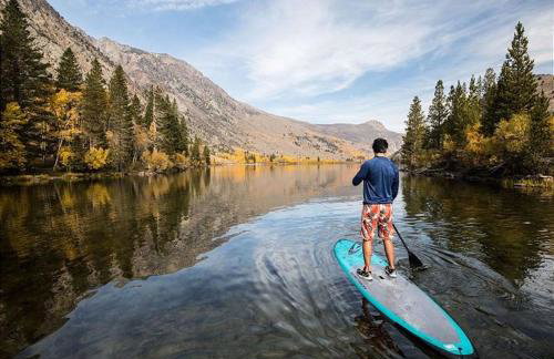 Two-Bedroom Apartment - Foto 11