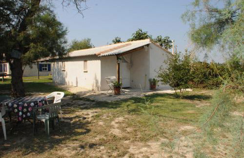 Les Mazets du Paty - Foto 10