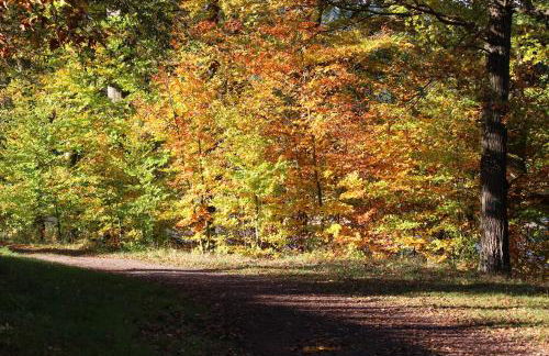 FeWo-Seestrasse - Foto 26
