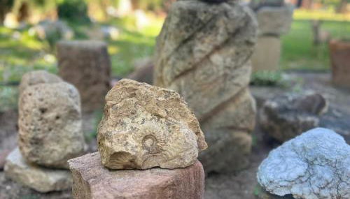 Casa Rural Entre Dos Aguas - Photo 2, Garden