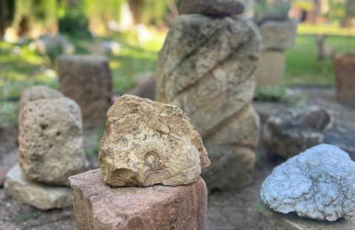 Casa Rural Entre Dos Aguas - Photo 2