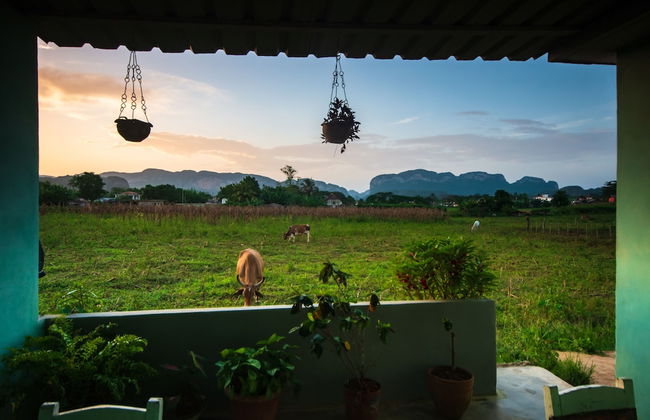 Holiday rental in Viñales with garden and terrace - Photo 16