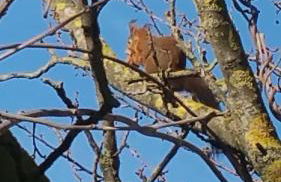 La maison des vacances - Foto 24