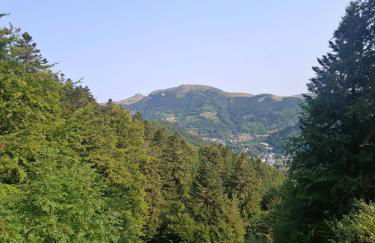 Chalet Emma appartement tout équipé et refait a neuf dans une résidence 3 étoiles - Photo 55