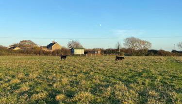 Swedish Rustic Cabin perfect for bird watching - Foto 5