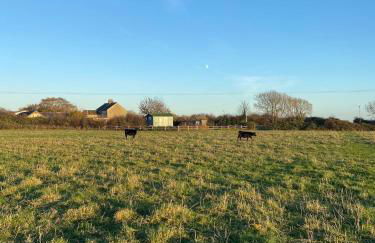 Swedish Rustic Cabin perfect for bird watching - Foto 5