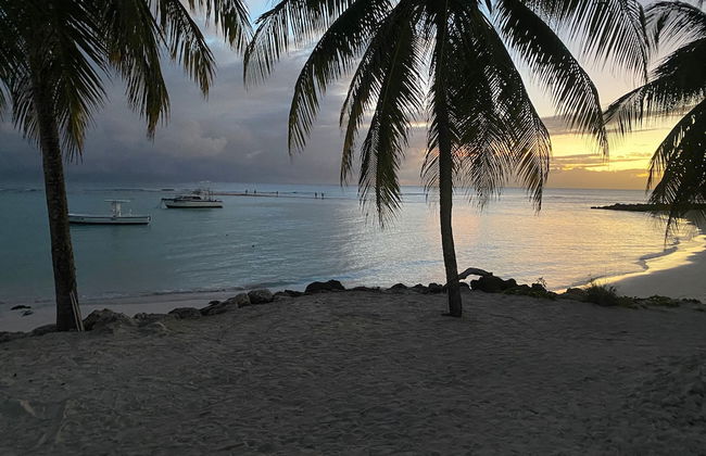 The Royal Bliss Barbados - Foto 33