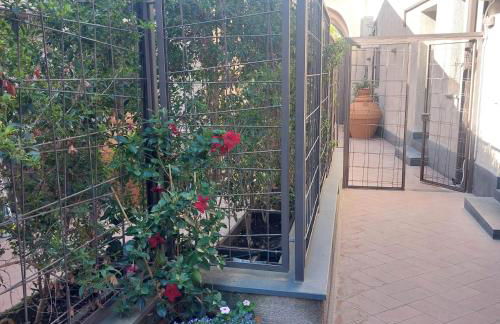 Il Cortile - Foto 14