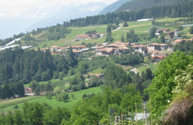 Agritur Pisani - Foto 52