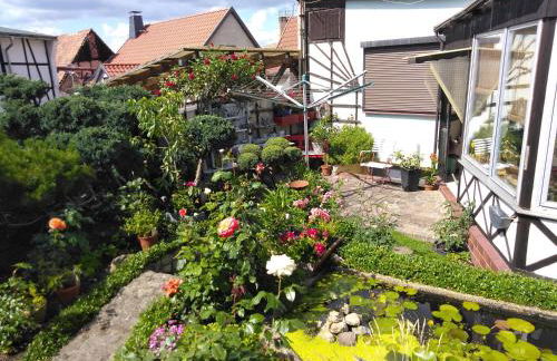 Urlaub im Fachwerkhaus - Foto 11