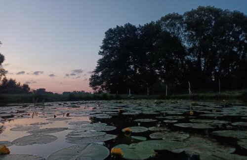 Smocze Ranczo - Foto 51