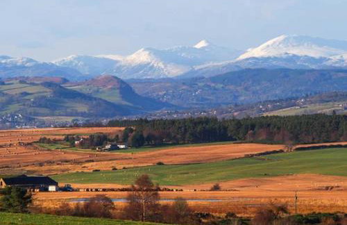 Pine Lodge - Photo 26