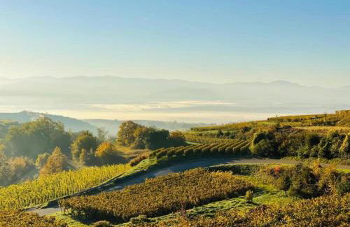 Weinberg-ferienwohnung, Oberrotweil - Foto 73