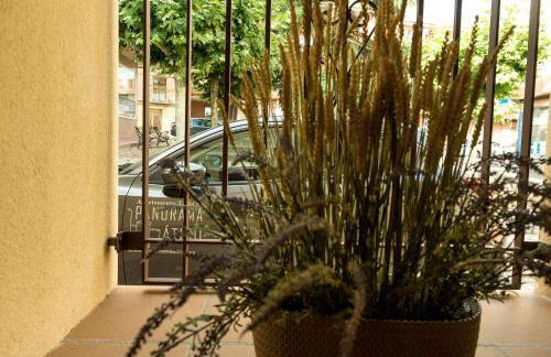 Panorama Suite - Foto 20