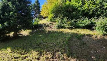 Les nids chalet 4.5 - Foto 4, Garden