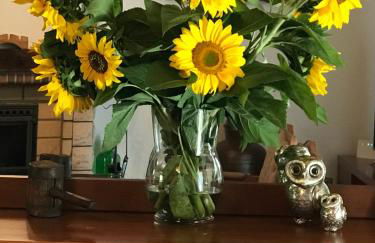 O refugio do Mineiro - Foto 30