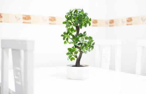 Apartamento Las Candelas, Ares - Foto 7