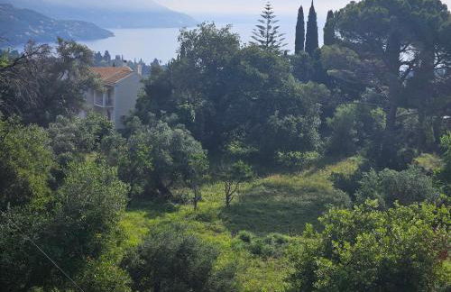 Sylvia's Sweet Home - Foto 34