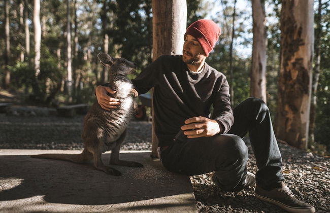 Carawirry Forest Escape - Foto 41