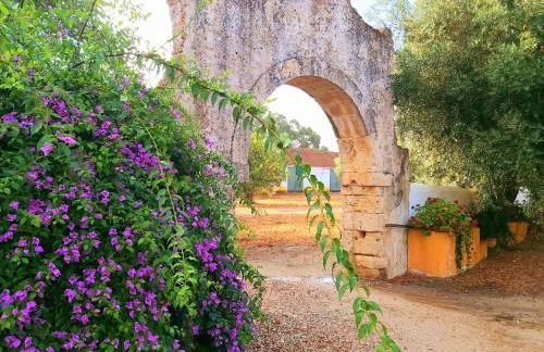 Casas Herdade do Convento da Serra - Foto 67