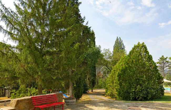 Le Palaie - 'Mangiatoia' - Foto 19