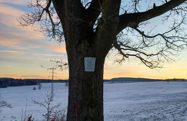 Ferienwohnung Schwibbogen - Foto 36