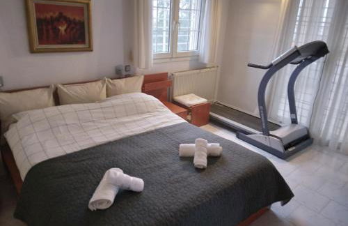 Villa in Panorama, Thessaloniki, with a swimming pool. Host: Mr. George - Foto 35