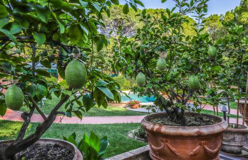 I Limoni Studios - Photo 5