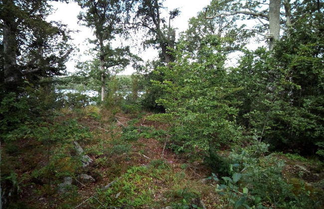 4 Person Holiday Home in Holmsjo-by Traum - Photo 13