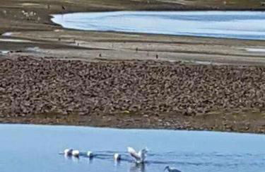 Ria Formosa Pineview - Foto 17